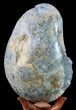 Crystal Filled Celestine (Celestite) Egg Geode - With Stand #59366-2